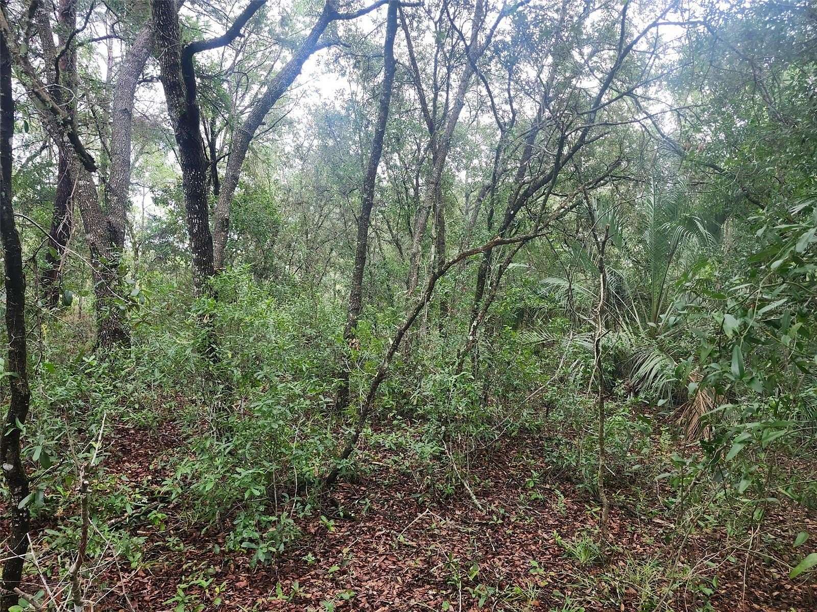 0.99 Acres of Residential Land for Sale in Dunnellon, Florida