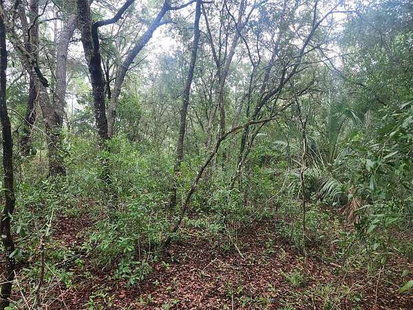 0.99 Acres of Residential Land for Sale in Dunnellon, Florida