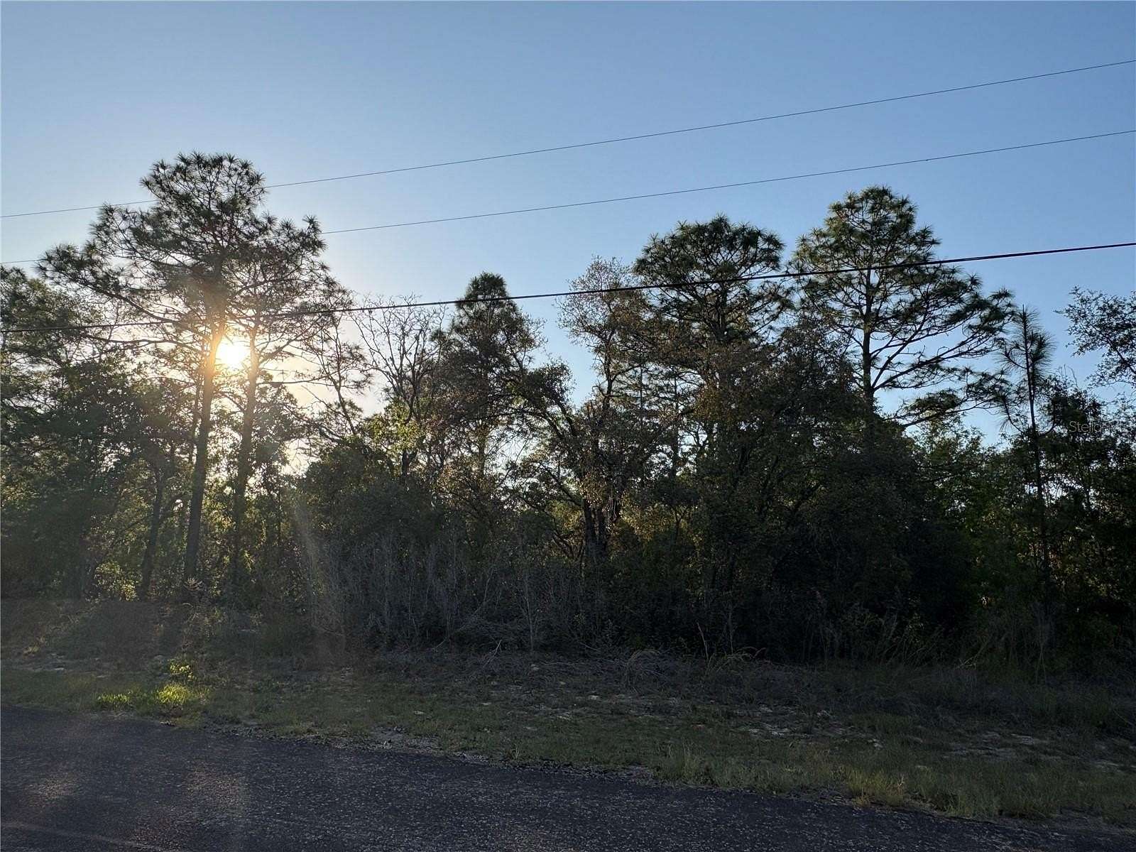 0.23 Acres of Land for Sale in Citrus Springs, Florida