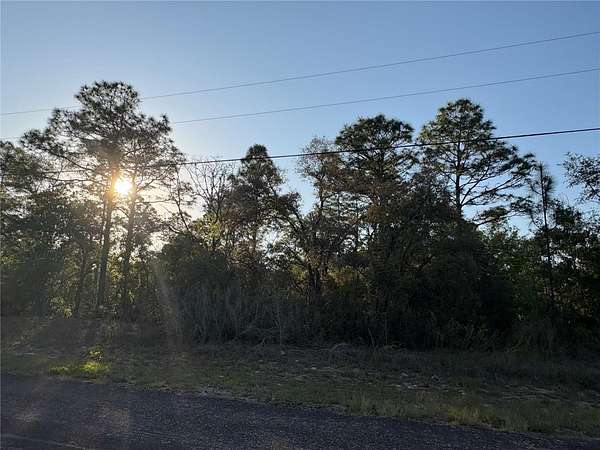 0.23 Acres of Land for Sale in Citrus Springs, Florida