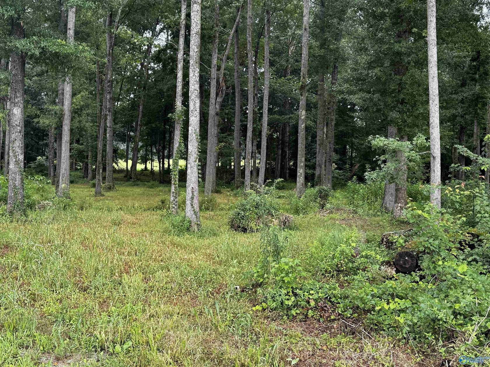 7.1 Acres of Residential Land for Sale in New Market, Alabama