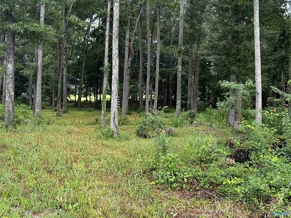 7.1 Acres of Residential Land for Sale in New Market, Alabama