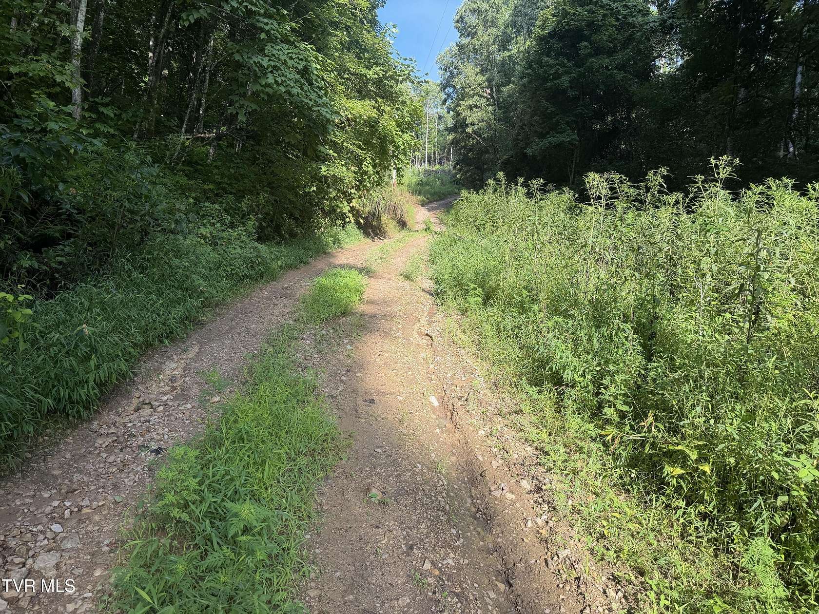 2.28 Acres of Land for Sale in Butler, Tennessee