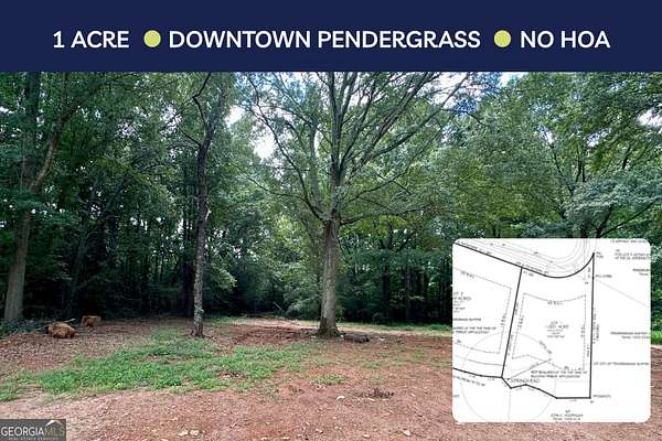 1 Acre of Residential Land for Sale in Pendergrass, Georgia