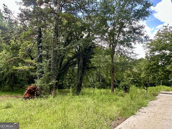 2.38 Acres of Residential Land for Sale in Pendergrass, Georgia