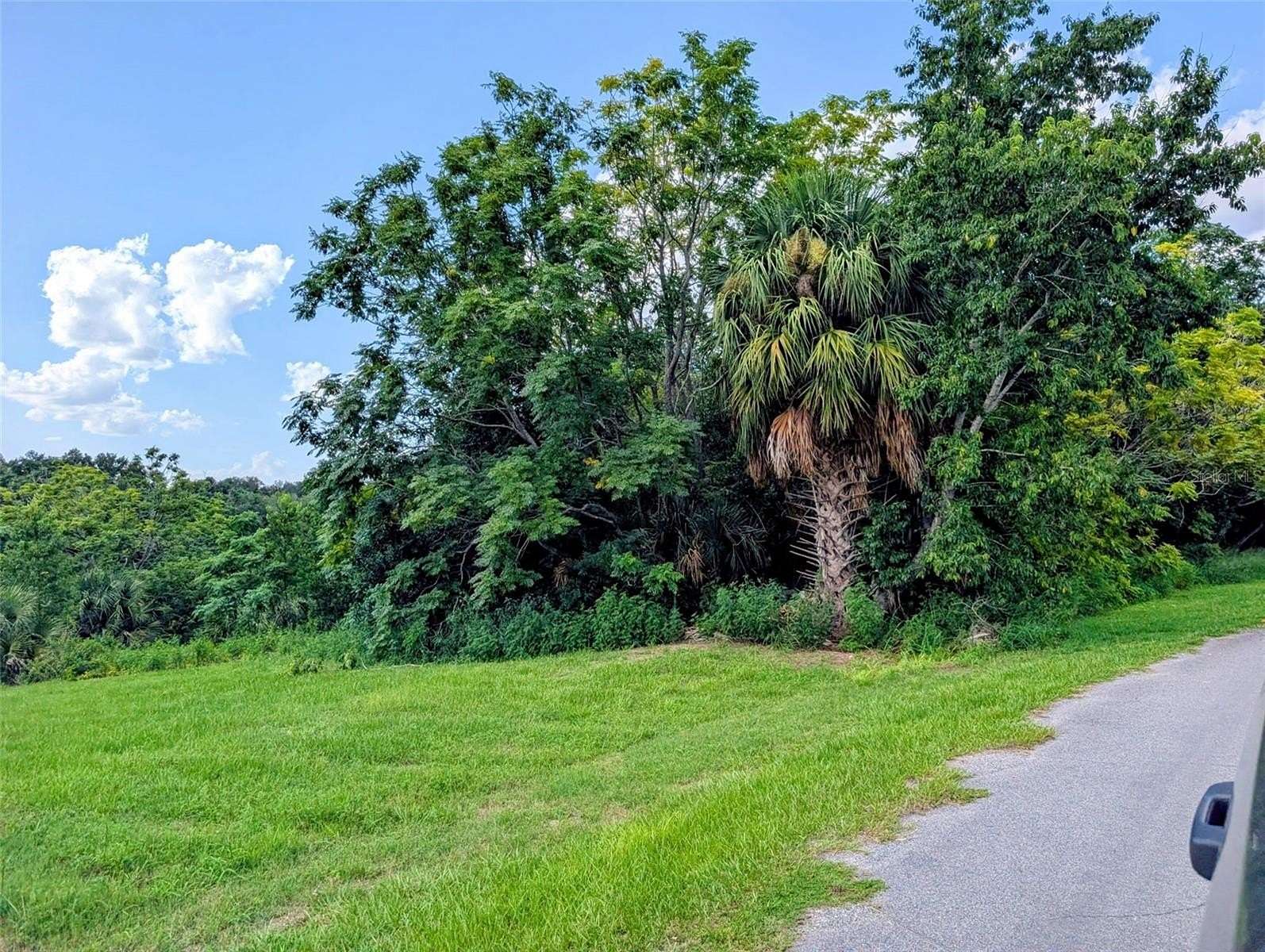 3.2 Acres of Residential Land for Sale in Lady Lake, Florida