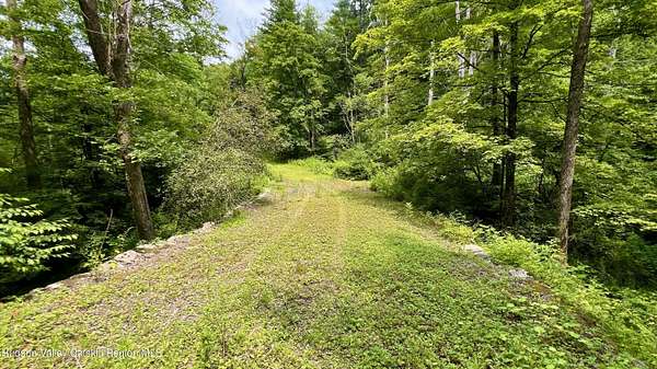 24.4 Acres of Recreational Land for Sale in Hillsdale, New York
