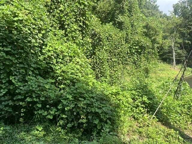 1.28 Acres of Residential Land for Sale in Soddy-Daisy, Tennessee