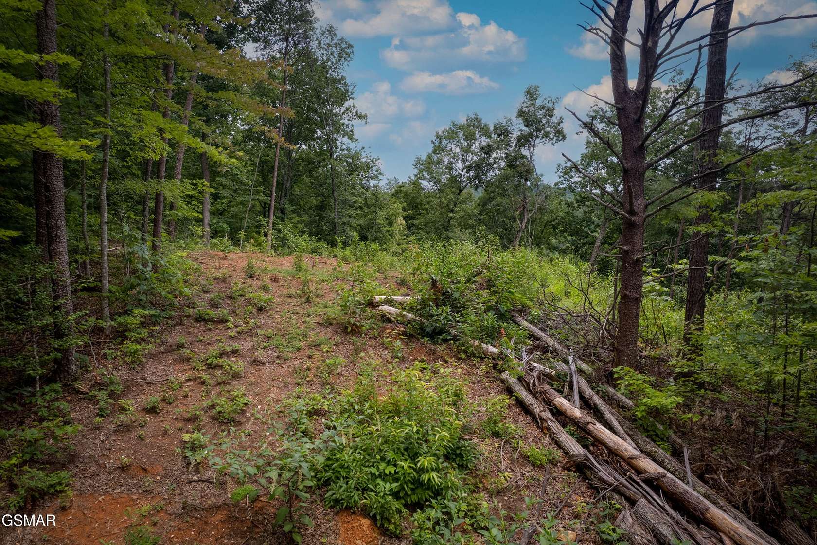 3.17 Acres of Residential Land for Sale in Sevierville, Tennessee