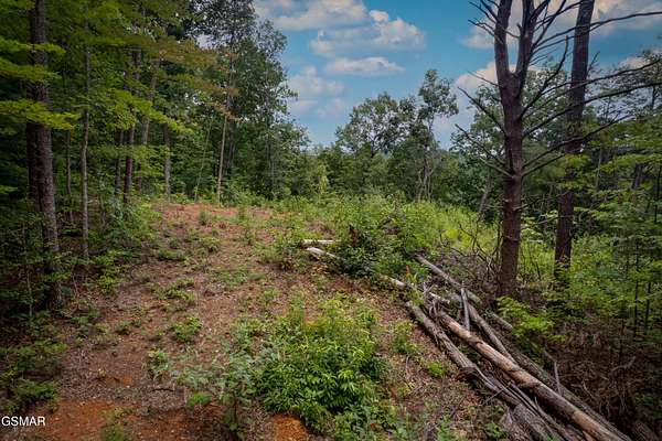 3.17 Acres of Residential Land for Sale in Sevierville, Tennessee
