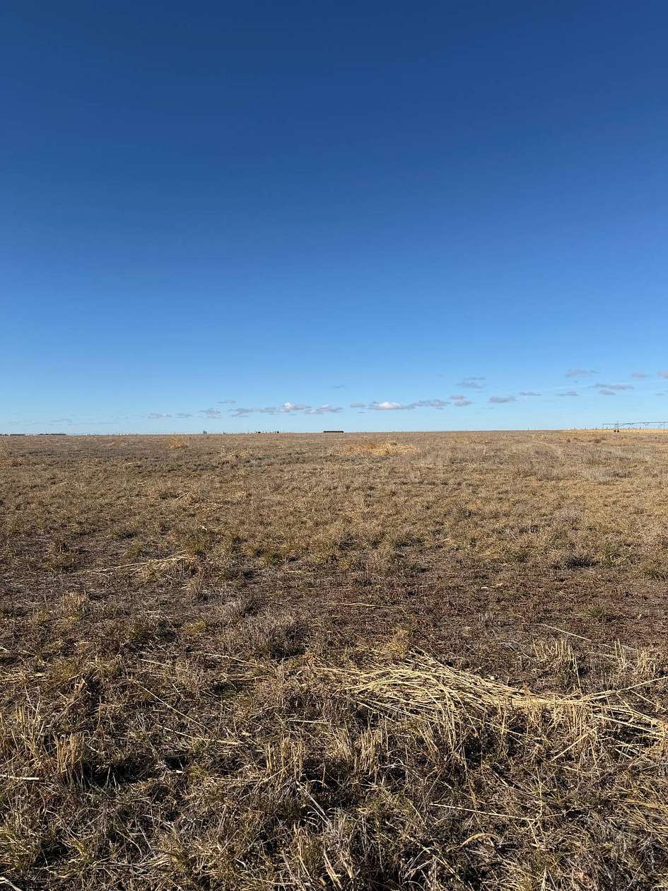 320 Acres of Agricultural Land for Sale in Guymon, Oklahoma