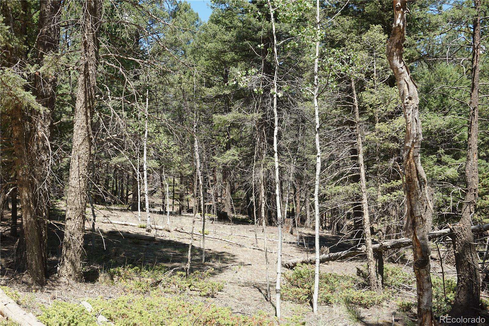 5.37 Acres of Residential Land for Sale in Florissant, Colorado