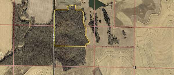 27.3 Acres of Land for Sale in Anita, Iowa
