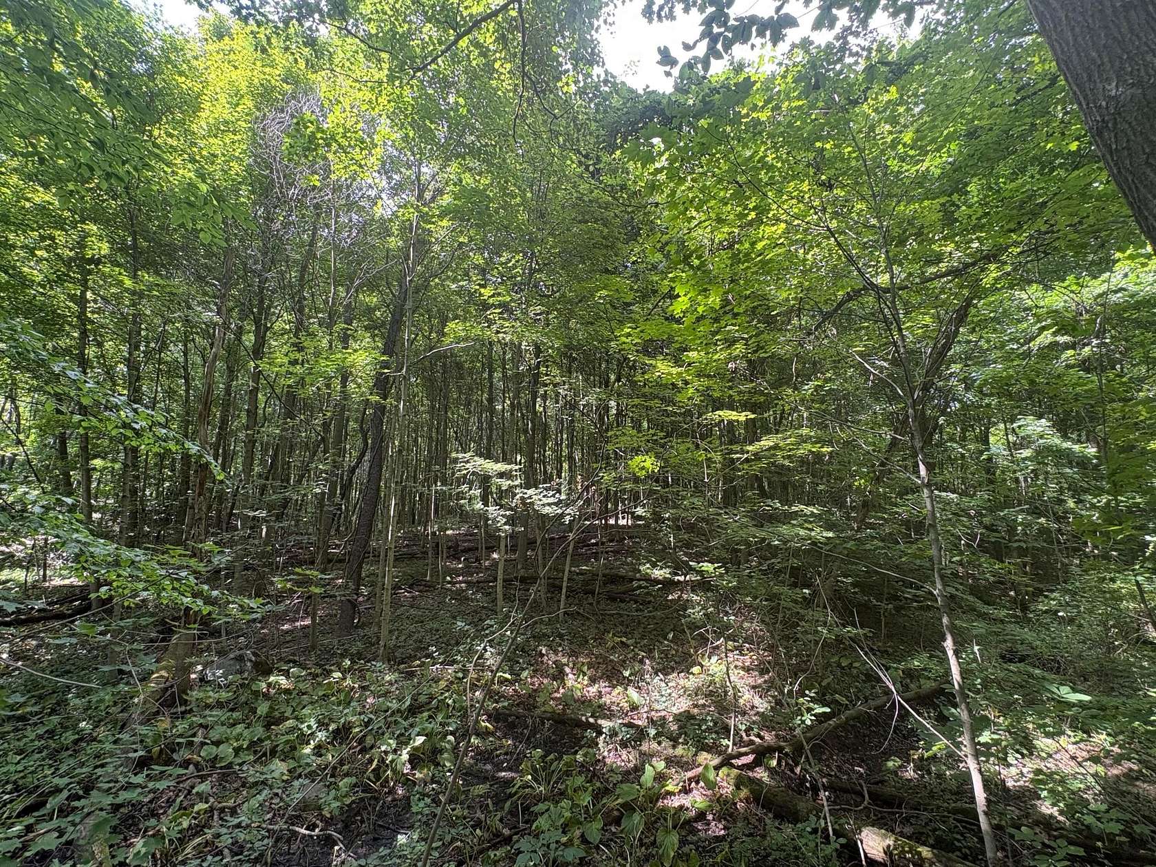 14.2 Acres of Land for Sale in Marengo, Ohio