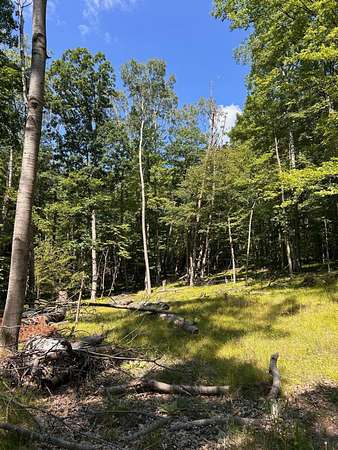 0.44 Acres of Residential Land for Sale in Canadian Lakes, Michigan