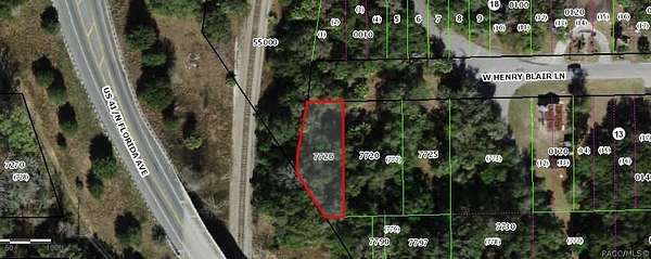 0.15 Acres of Commercial Land for Sale in Dunnellon, Florida