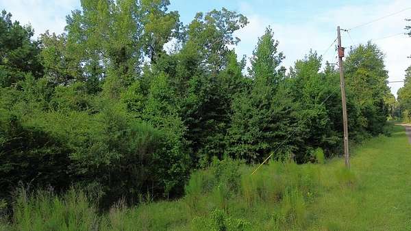 4.6 Acres of Land for Sale in Kirbyville, Texas