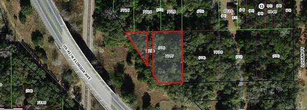 0.31 Acres of Commercial Land for Sale in Dunnellon, Florida