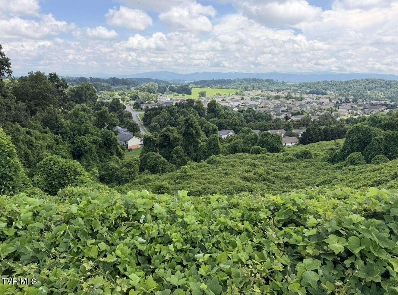 0.18 Acres of Residential Land for Sale in Jonesborough, Tennessee