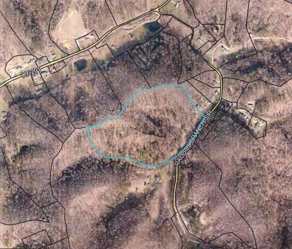 30 Acres of Land for Sale in Sitka, Kentucky