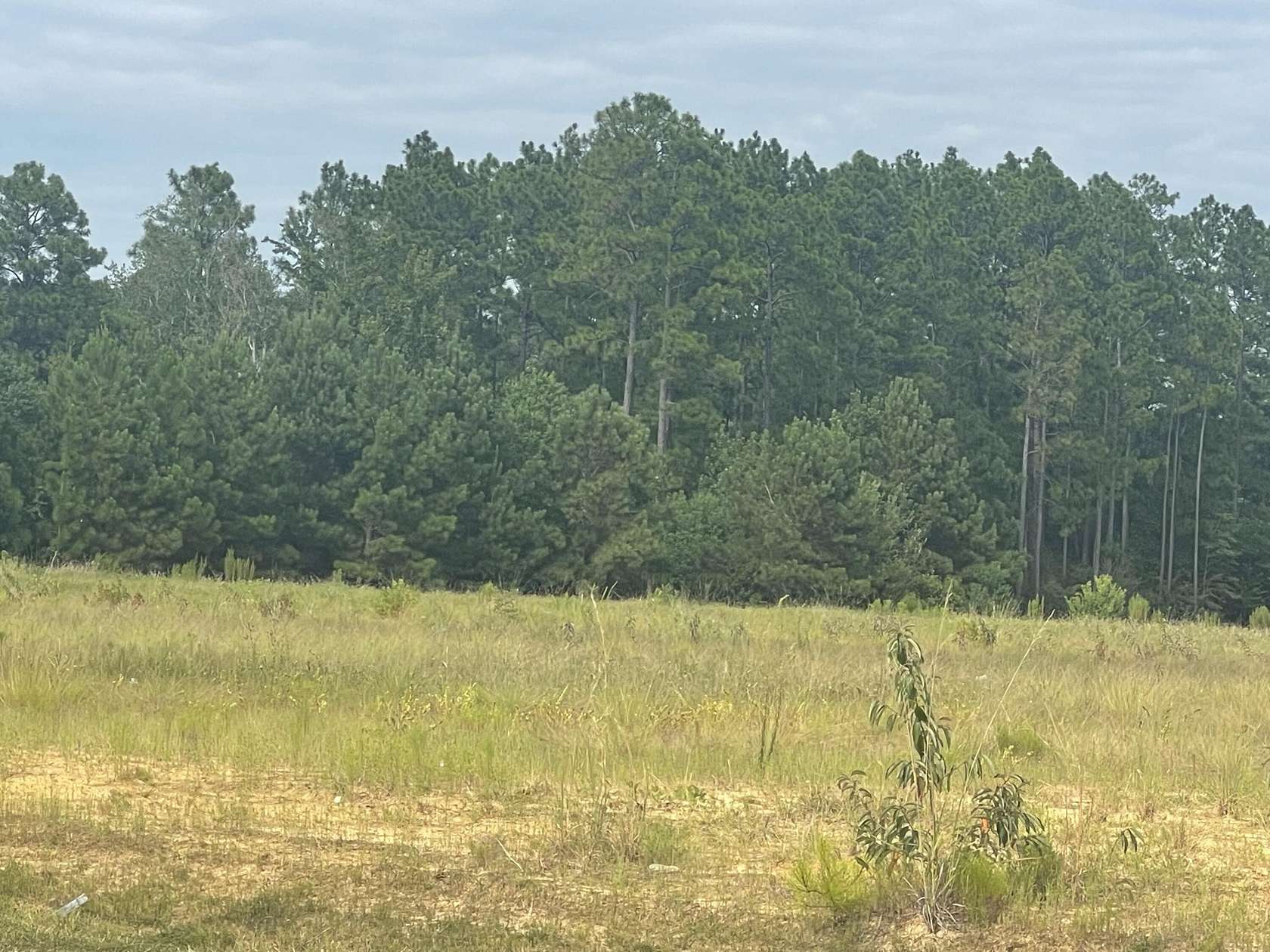 7 Acres of Land for Sale in Petal, Mississippi