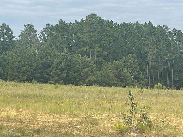 7 Acres of Land for Sale in Petal, Mississippi