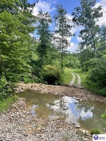 498 Acres of Recreational & Residential Land for Sale in Vanceburg, Kentucky