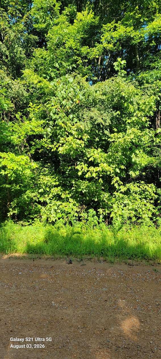 5.77 Acres of Land for Sale in Kevil, Kentucky