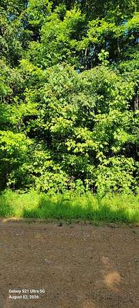 5.77 Acres of Land for Sale in Kevil, Kentucky