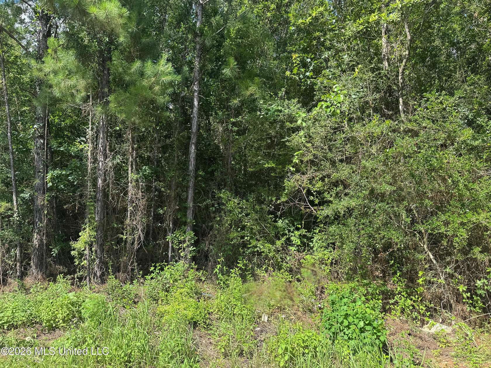1.47 Acres of Residential Land for Sale in Saucier, Mississippi