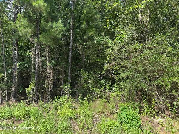 1.47 Acres of Residential Land for Sale in Saucier, Mississippi