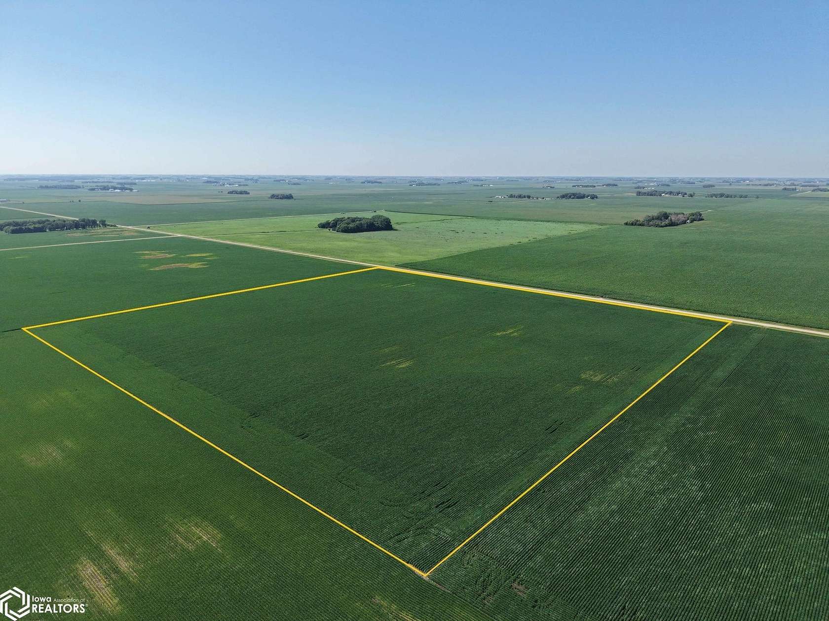 40 Acres of Agricultural Land for Auction in Le Sueur, Minnesota