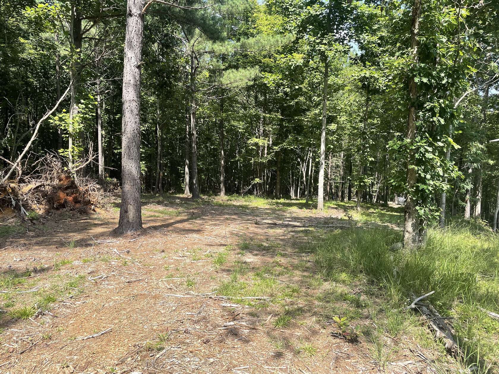 11 Acres of Land for Sale in Spencer, Tennessee