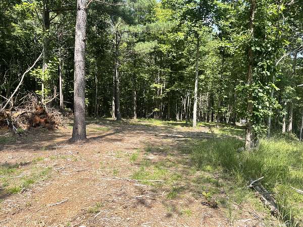 11 Acres of Land for Sale in Spencer, Tennessee