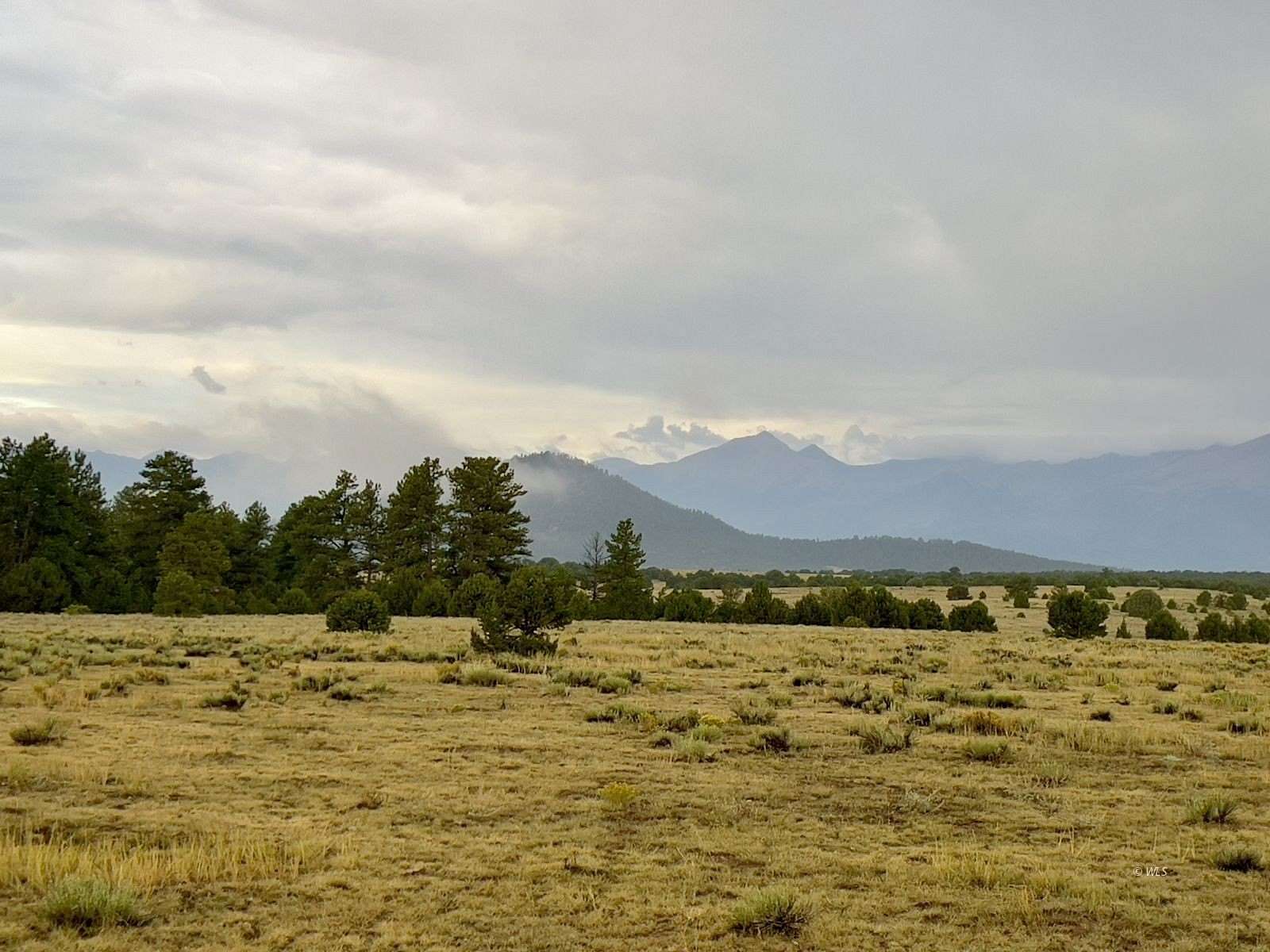 35.2 Acres of Land for Sale in Cotopaxi, Colorado