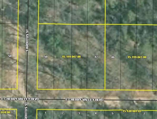 0.23 Acres of Residential Land for Sale in Idlewild, Michigan