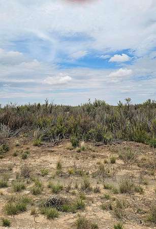 10 Acres of Land for Sale in Brownfield, Texas