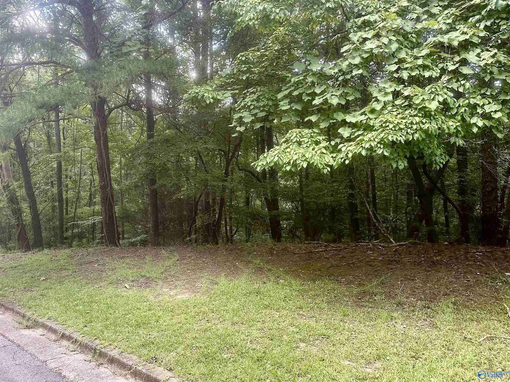 0.54 Acres of Residential Land for Sale in Tuscaloosa, Alabama