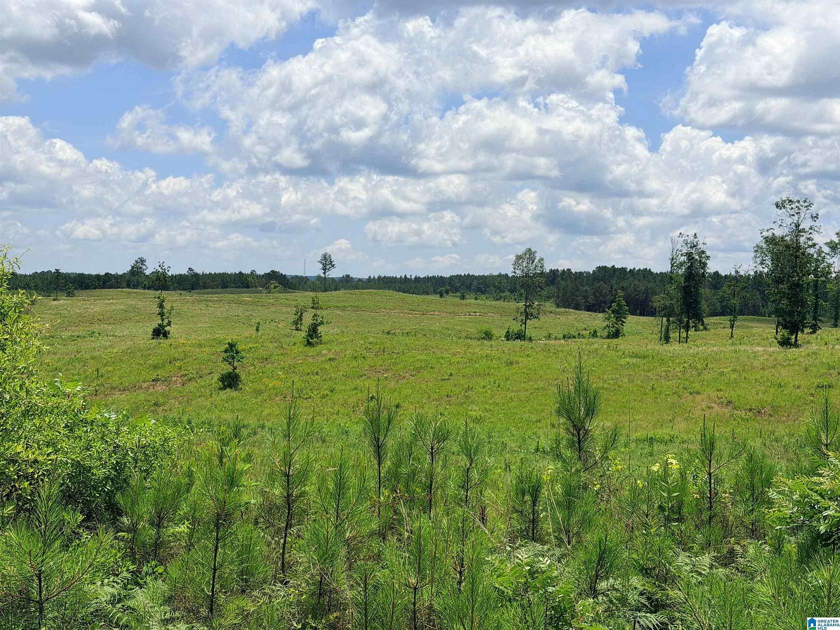 48 Acres of Land for Sale in Columbiana, Alabama
