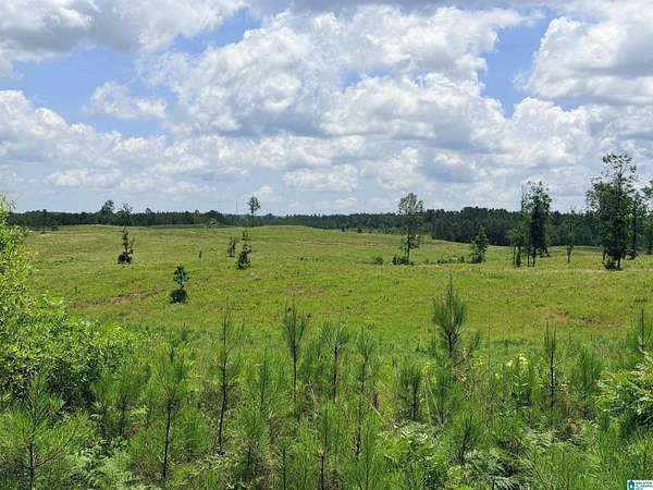 48 Acres of Land for Sale in Columbiana, Alabama