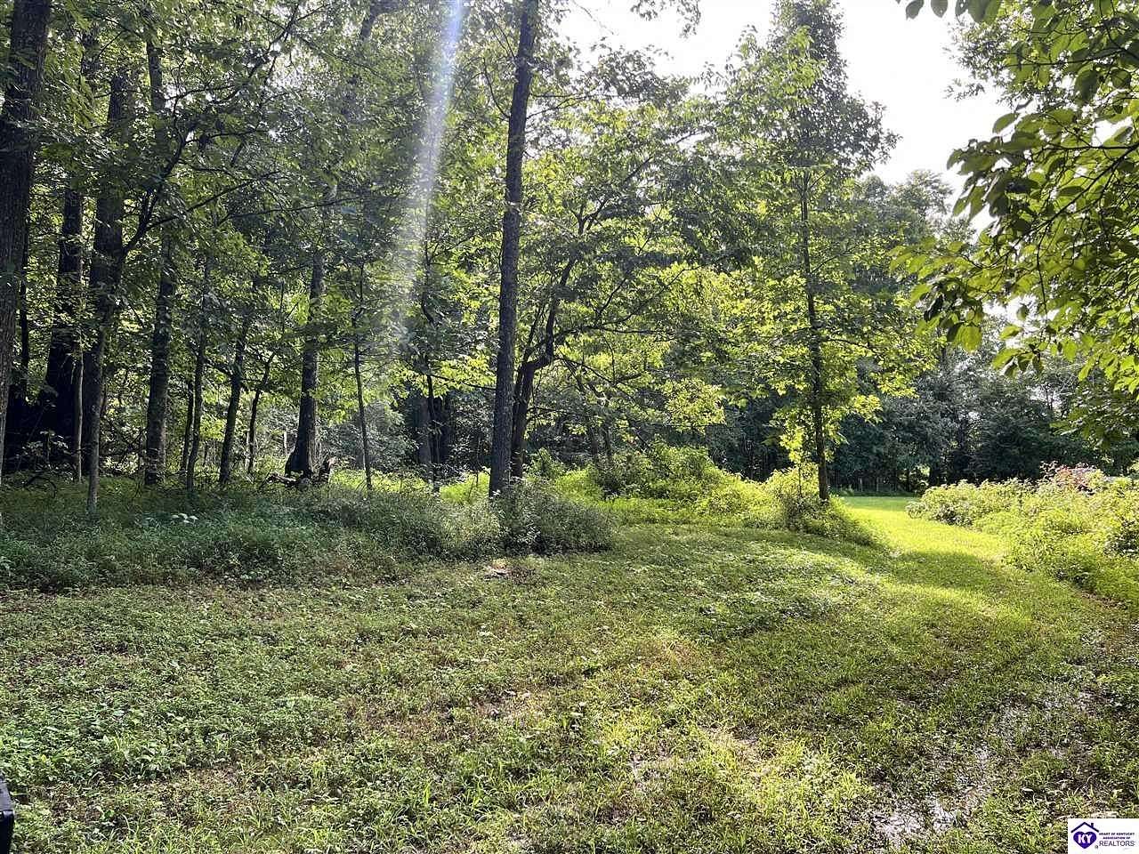 41.8 Acres of Recreational Land for Sale in Eastview, Kentucky