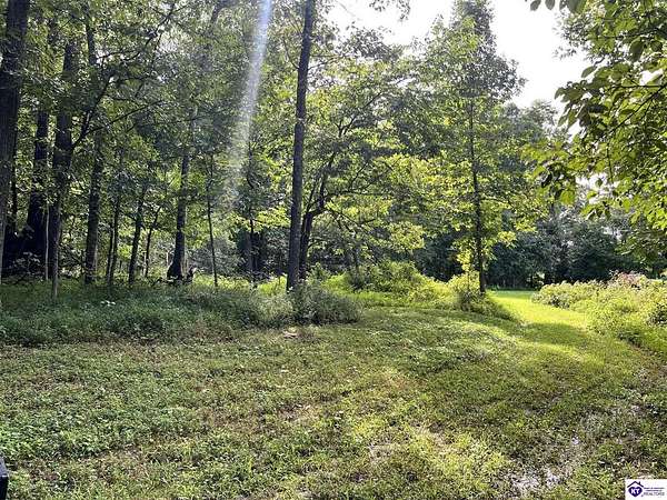 41.8 Acres of Recreational Land for Sale in Eastview, Kentucky