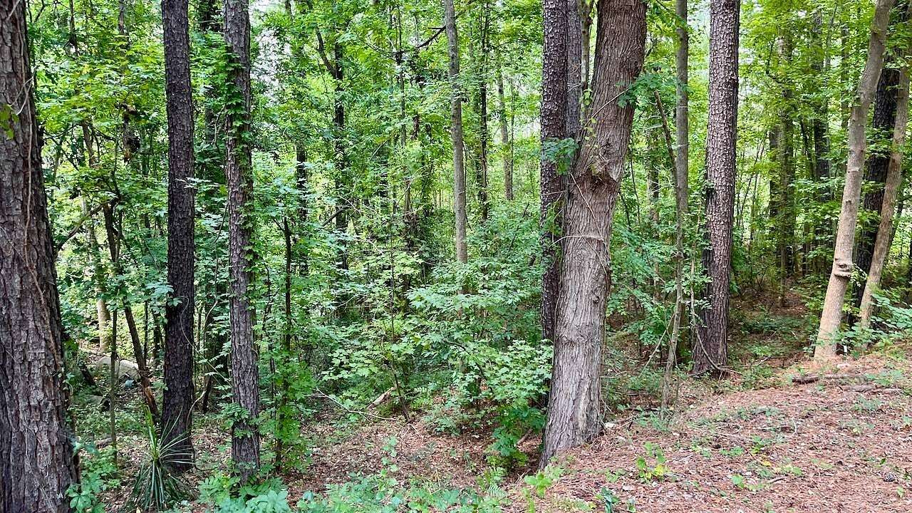 0.22 Acres of Land for Auction in Columbia, South Carolina