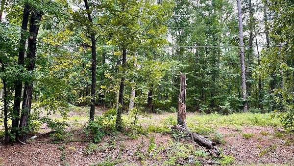 0.12 Acres of Land for Auction in Columbia, South Carolina