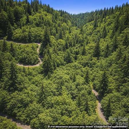 2.48 Acres of Residential Land for Sale in Nebo, North Carolina