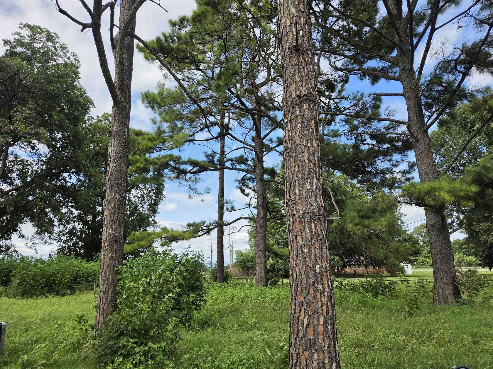1 Acre of Land for Sale in Campbell Station, Arkansas