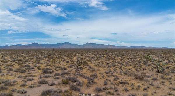 40 Acres of Land for Sale in Yucca, Arizona