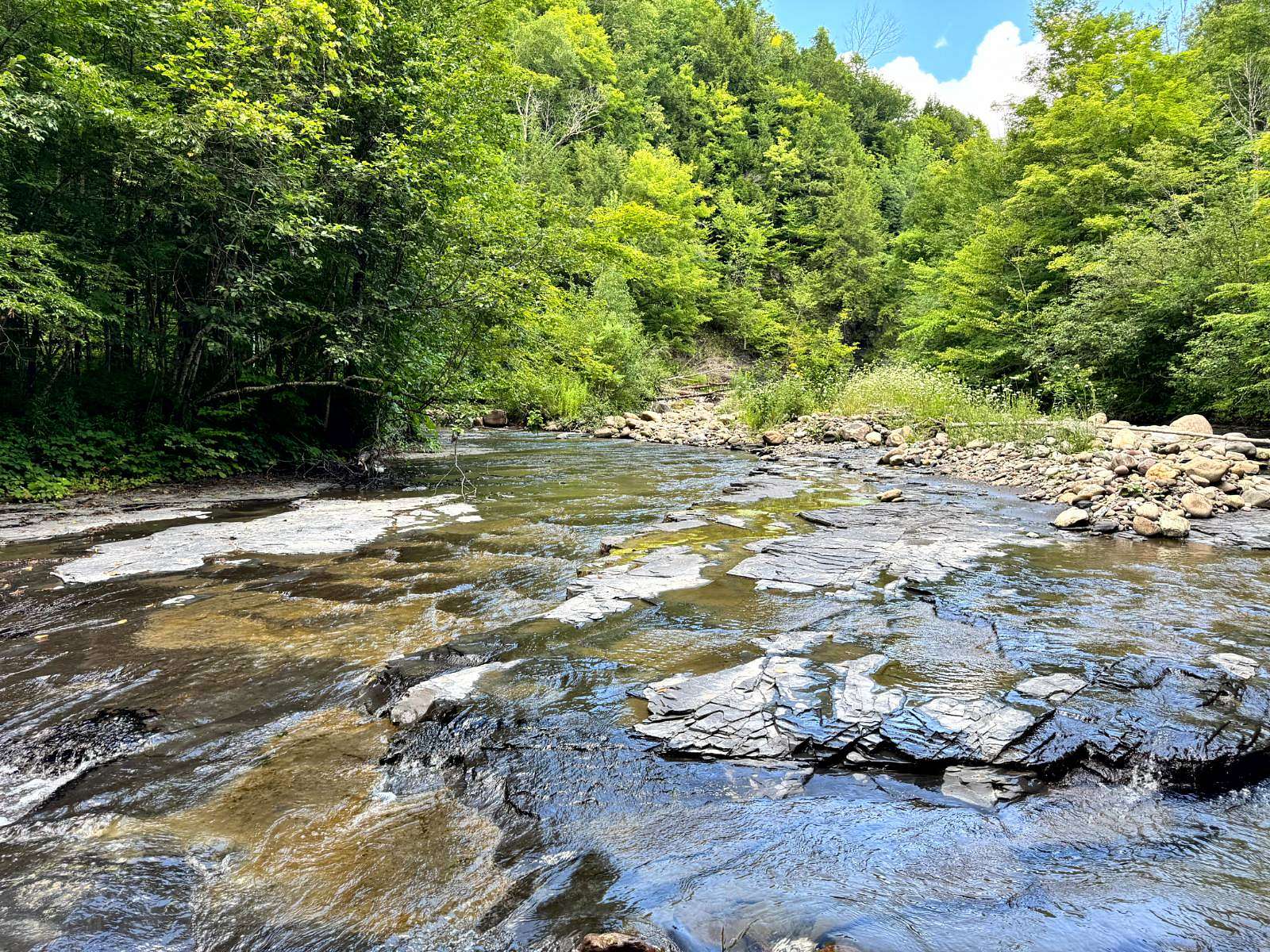 16 Acres of Recreational Land for Sale in Western Town, New York