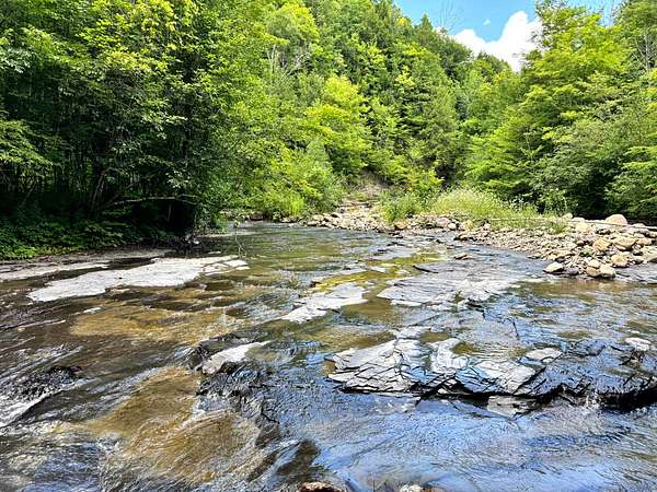 16 Acres of Recreational Land for Sale in Western Town, New York