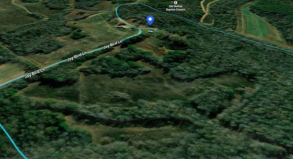 87 Acres of Land for Sale in Palmersville, Tennessee